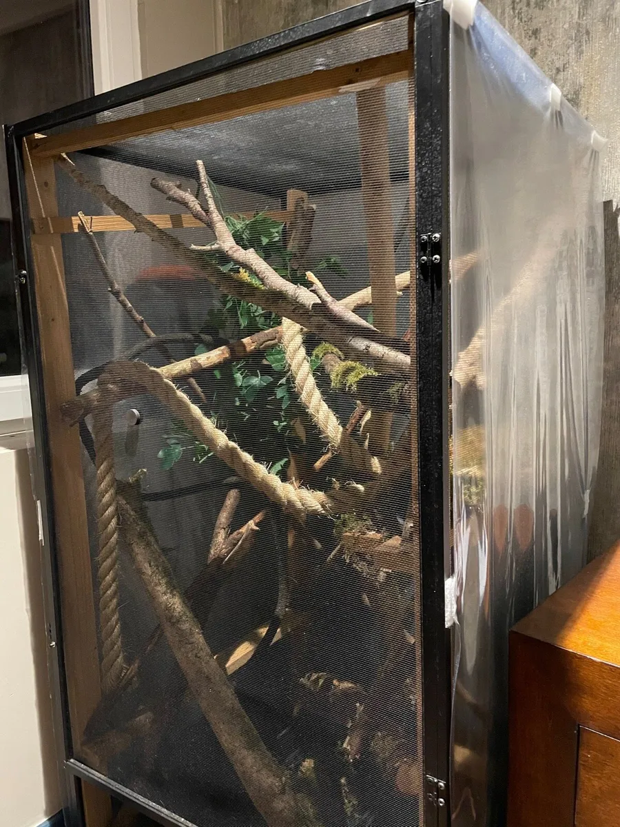Reptile enclosure - Image 1
