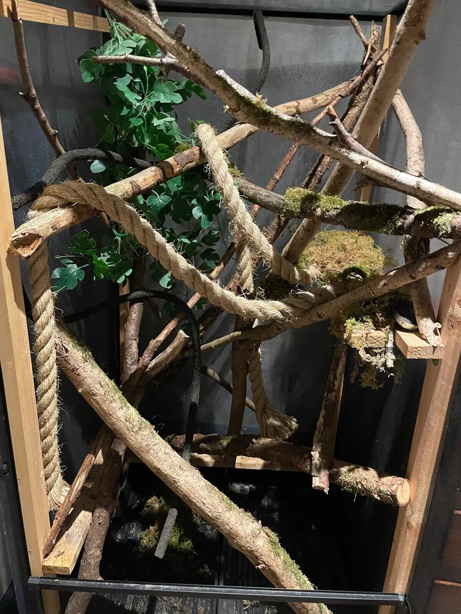 Reptile enclosure - Image 2