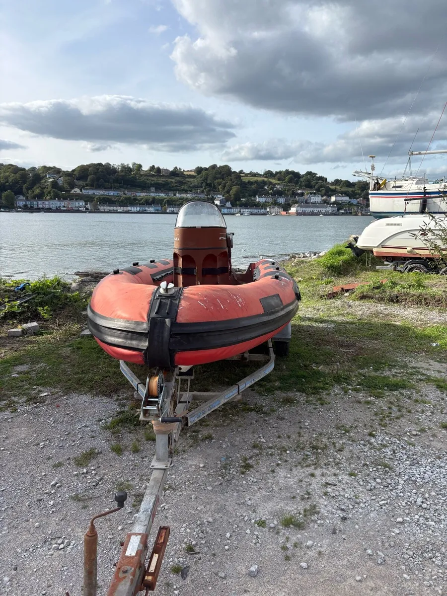 Rib - Image 2