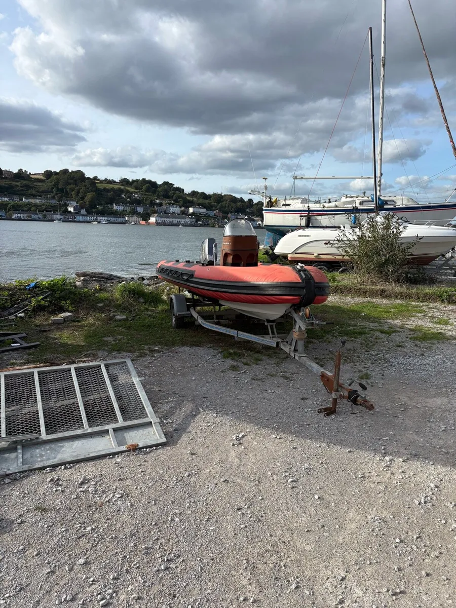 Rib - Image 1