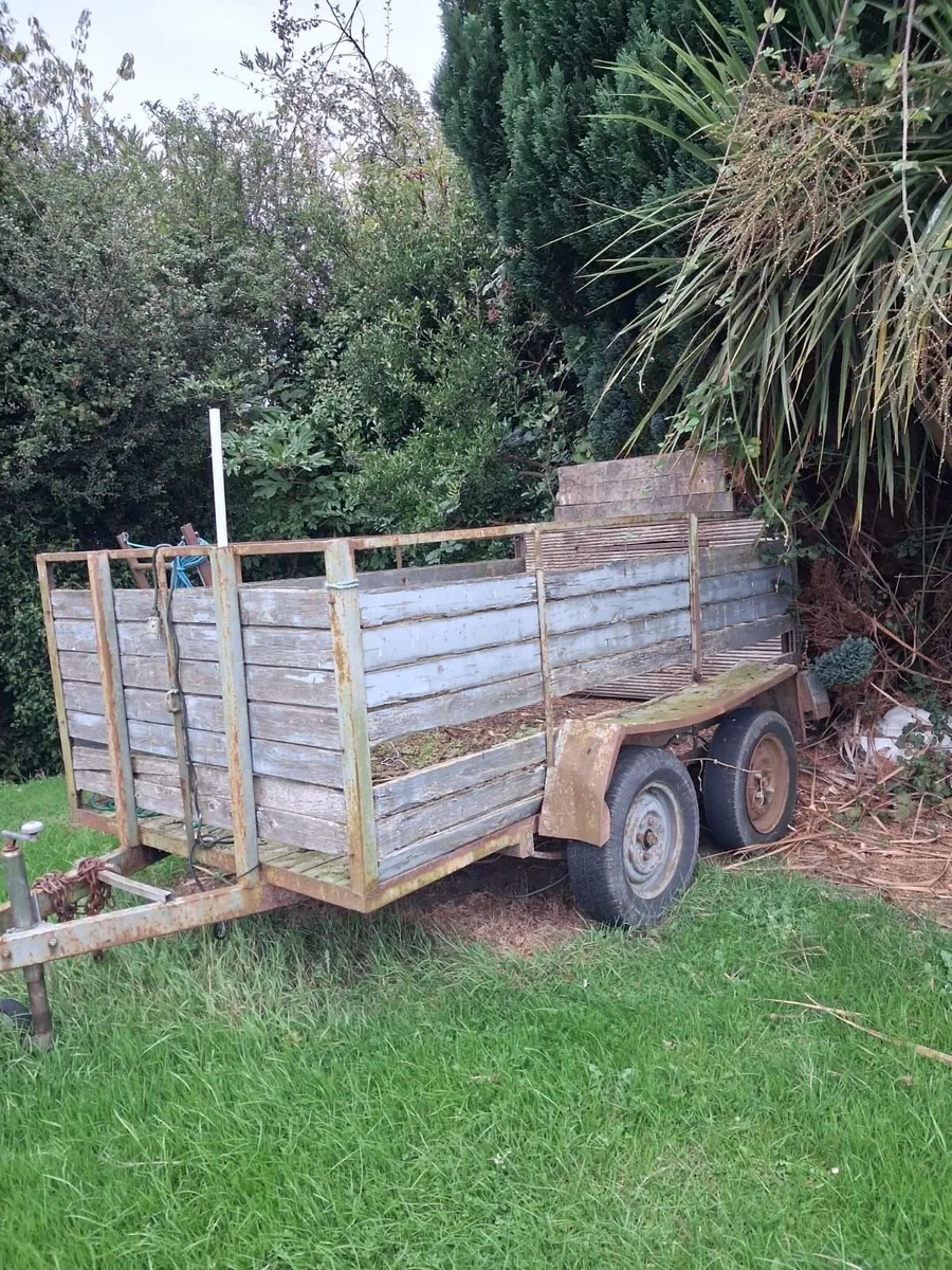 Twin axel trailer - Image 2