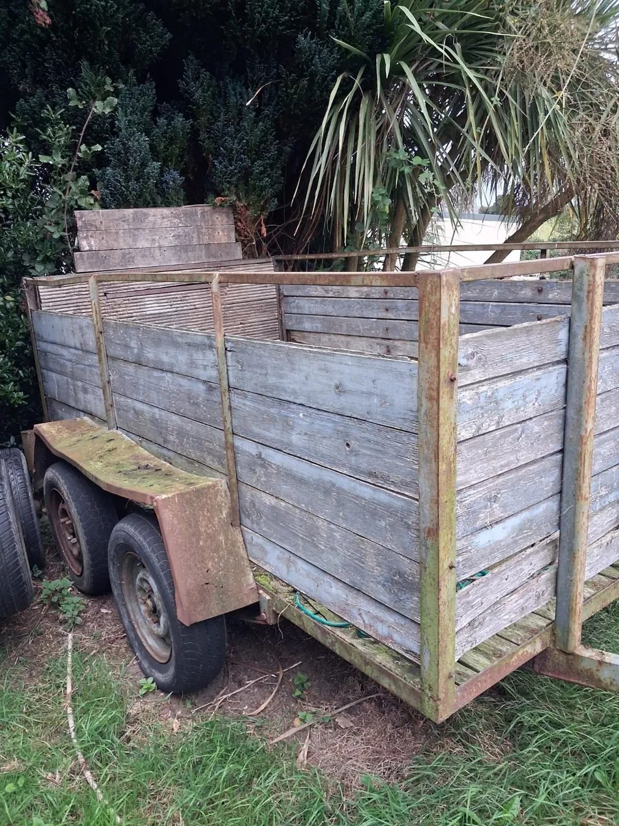 Twin axel trailer - Image 1