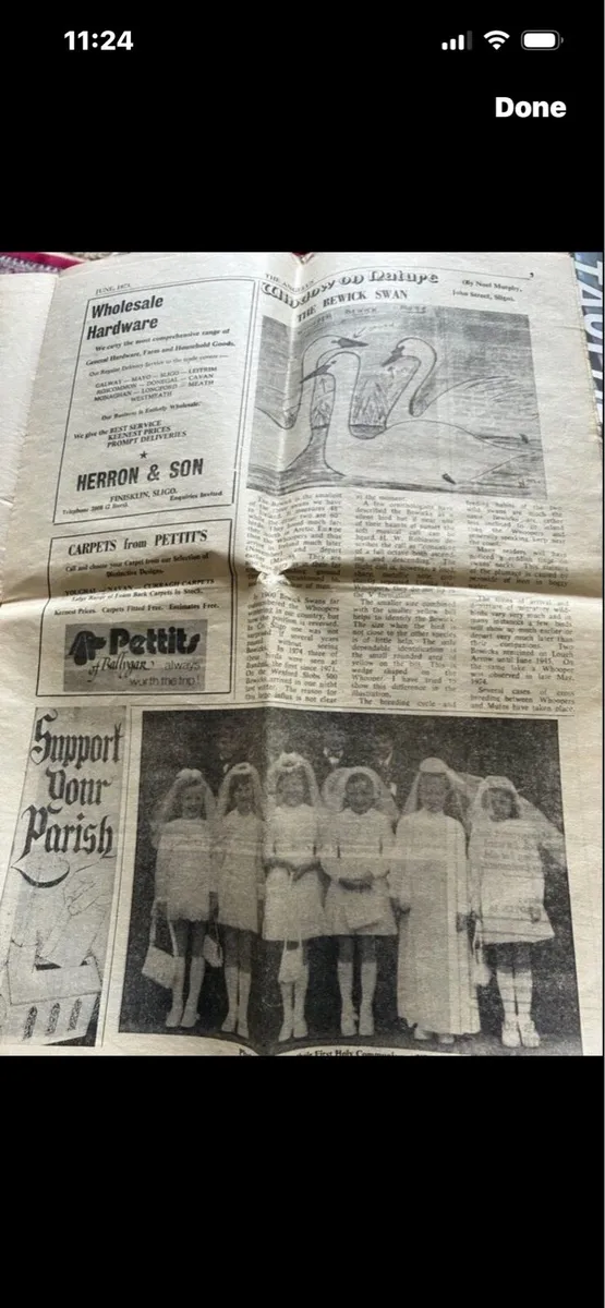 Sligo Angelus  1975 - Image 4