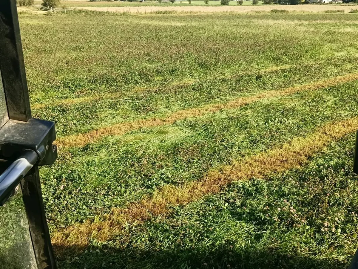 Silage - Image 2