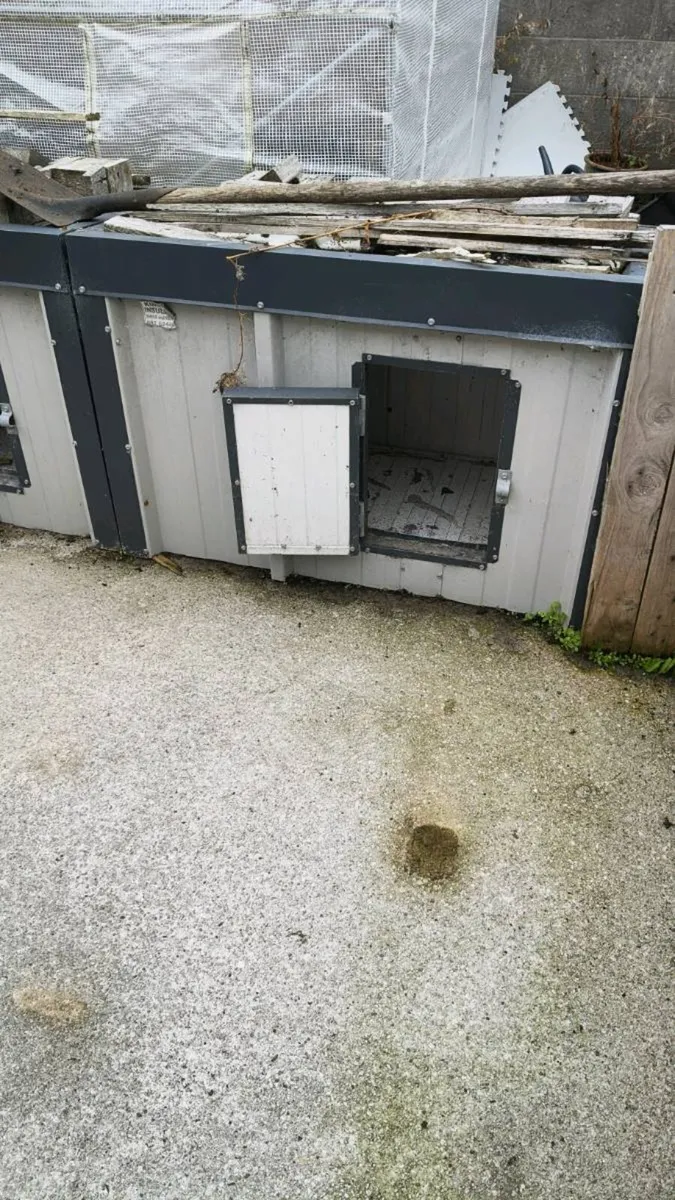 Insulated dog kennels - Image 2