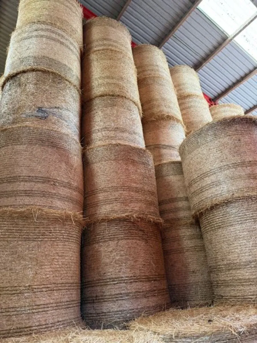 Straw - Image 2