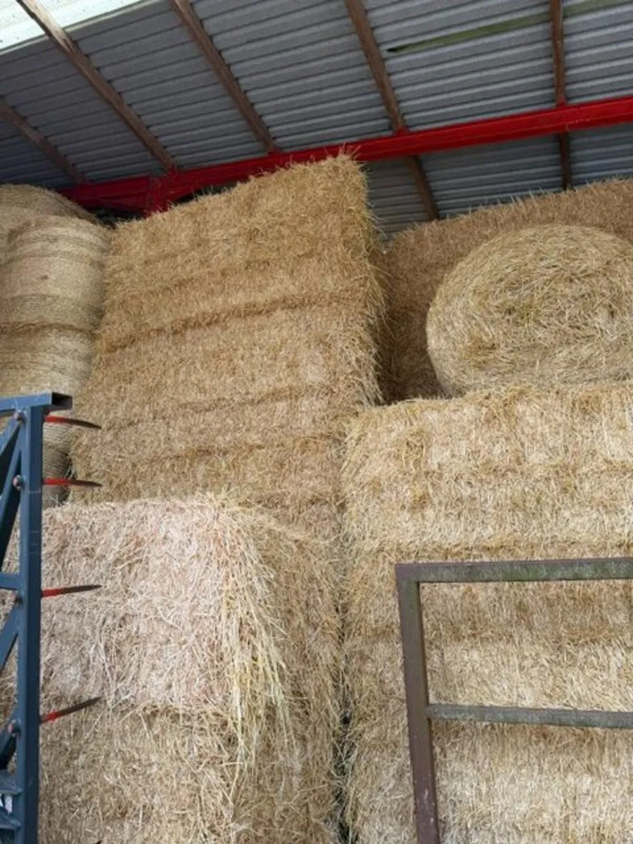 Straw - Image 3