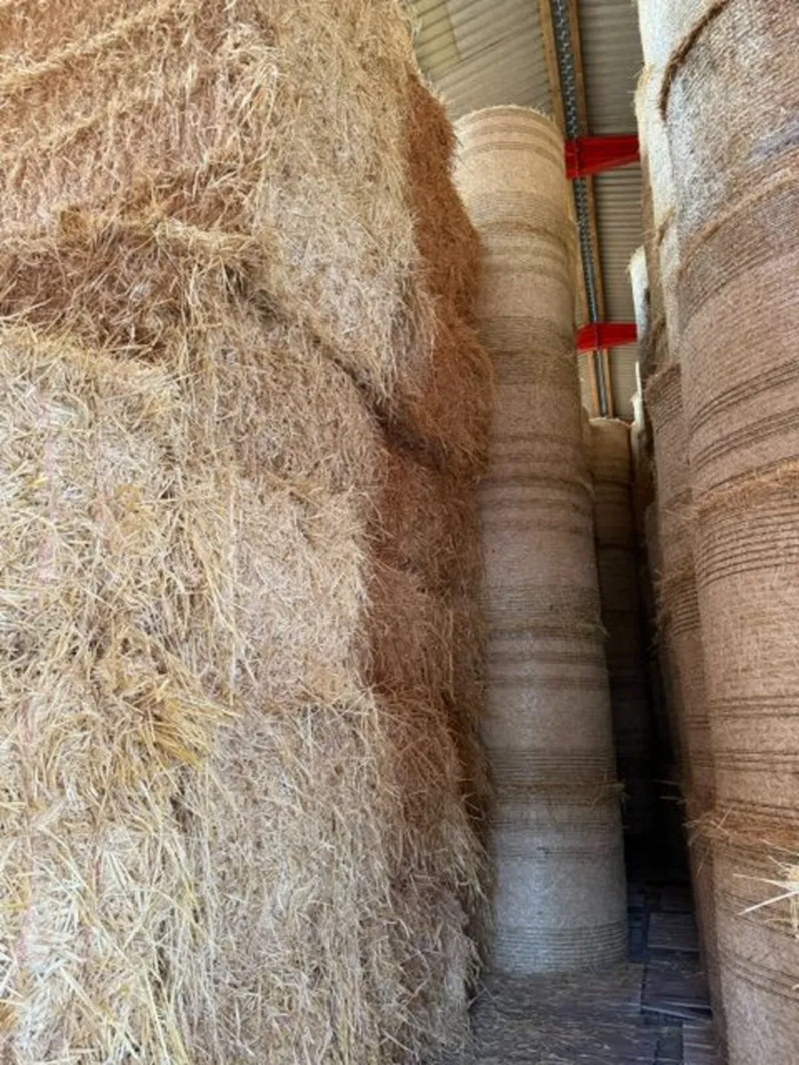 Straw - Image 4