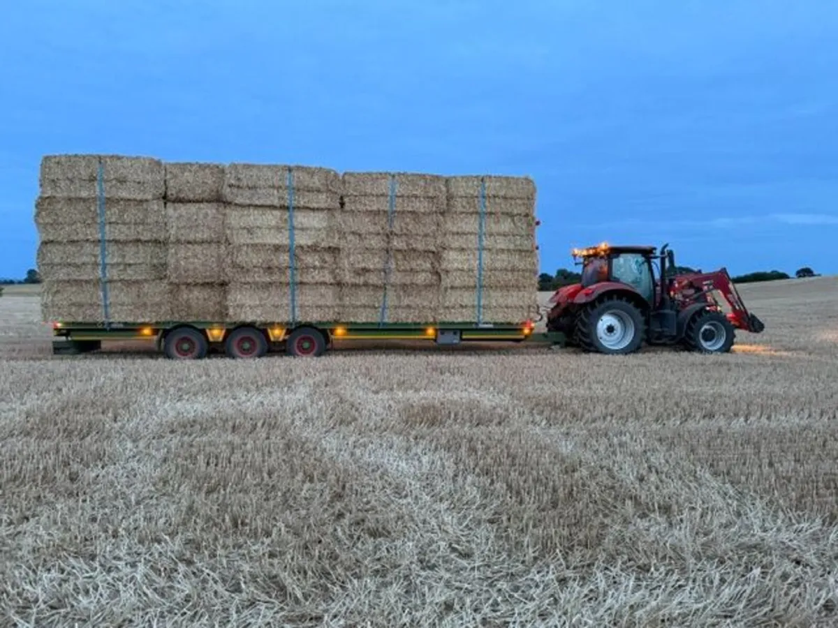 Straw - Image 1