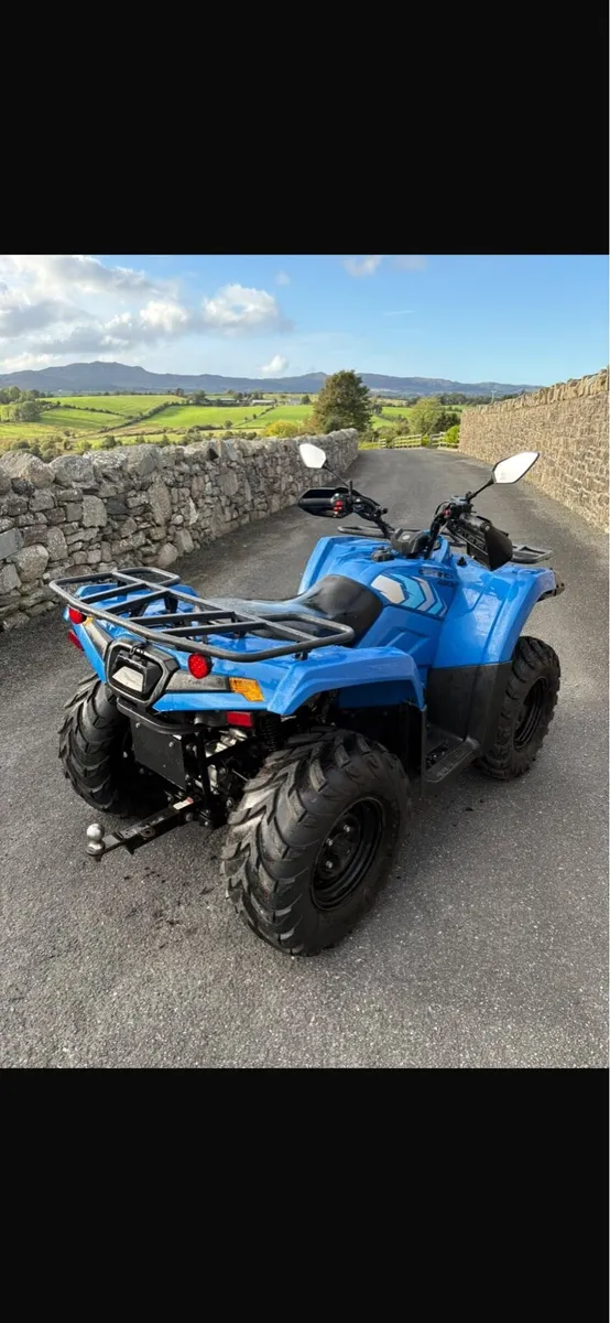 Cf moto quad - Image 3