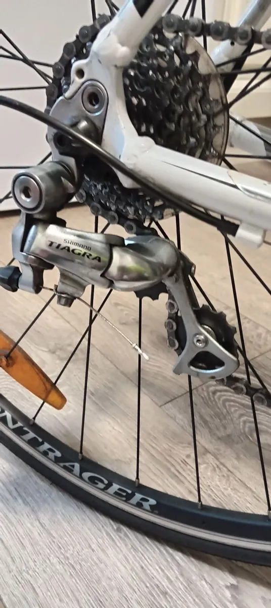 Trek 1.5 Alpha - Image 3