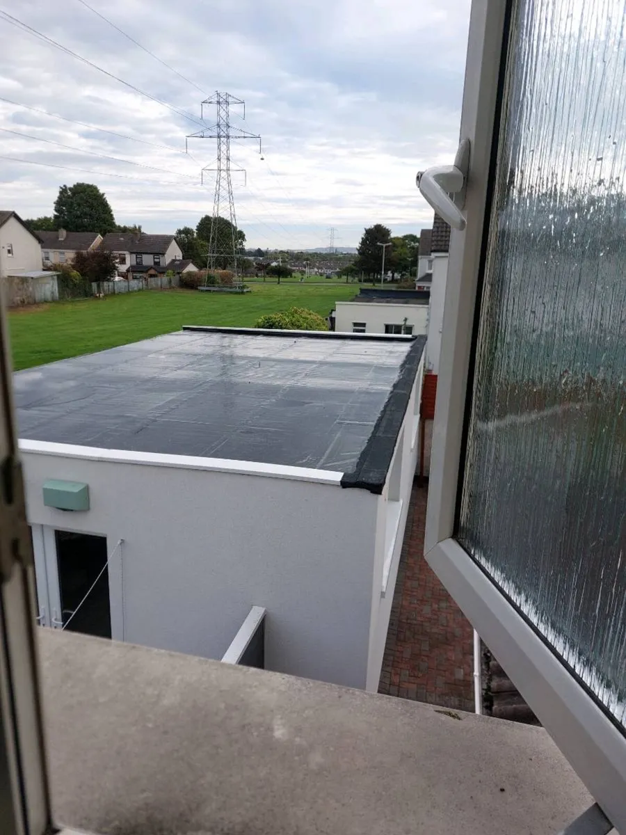 Roof sealer - Image 4