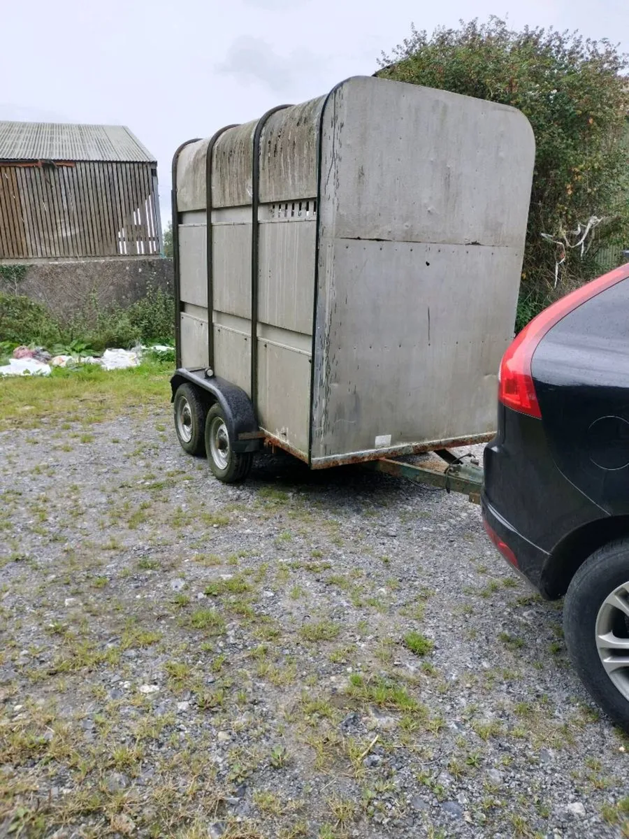8 x 4.5 cattle trailer - Image 1