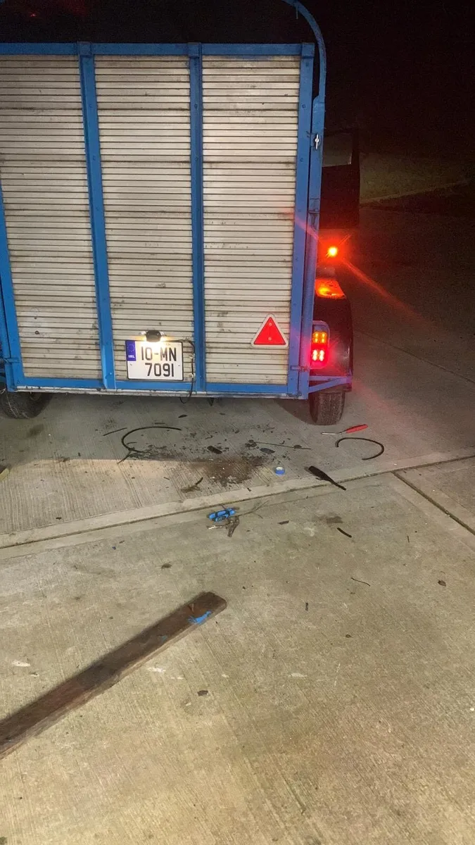 2 cow trailer - Image 3