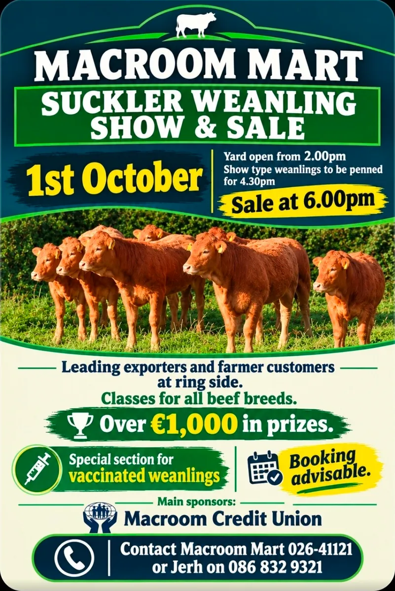 Macroom Mart suckler bred weanling Show and Sale