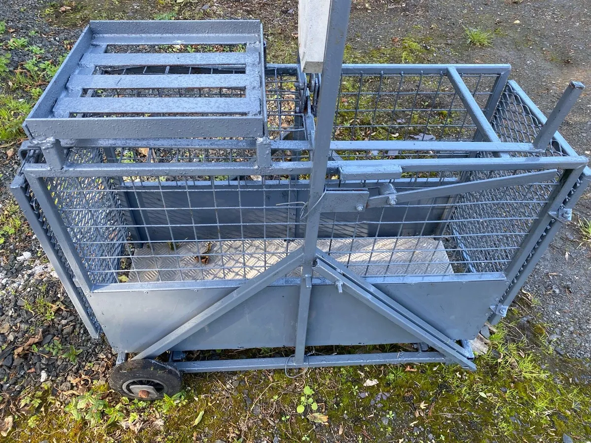 Lamb weigh bridge - Image 1