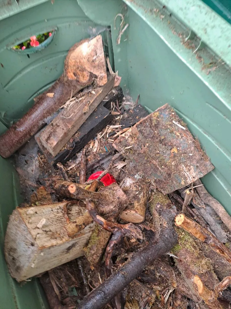Fire wood