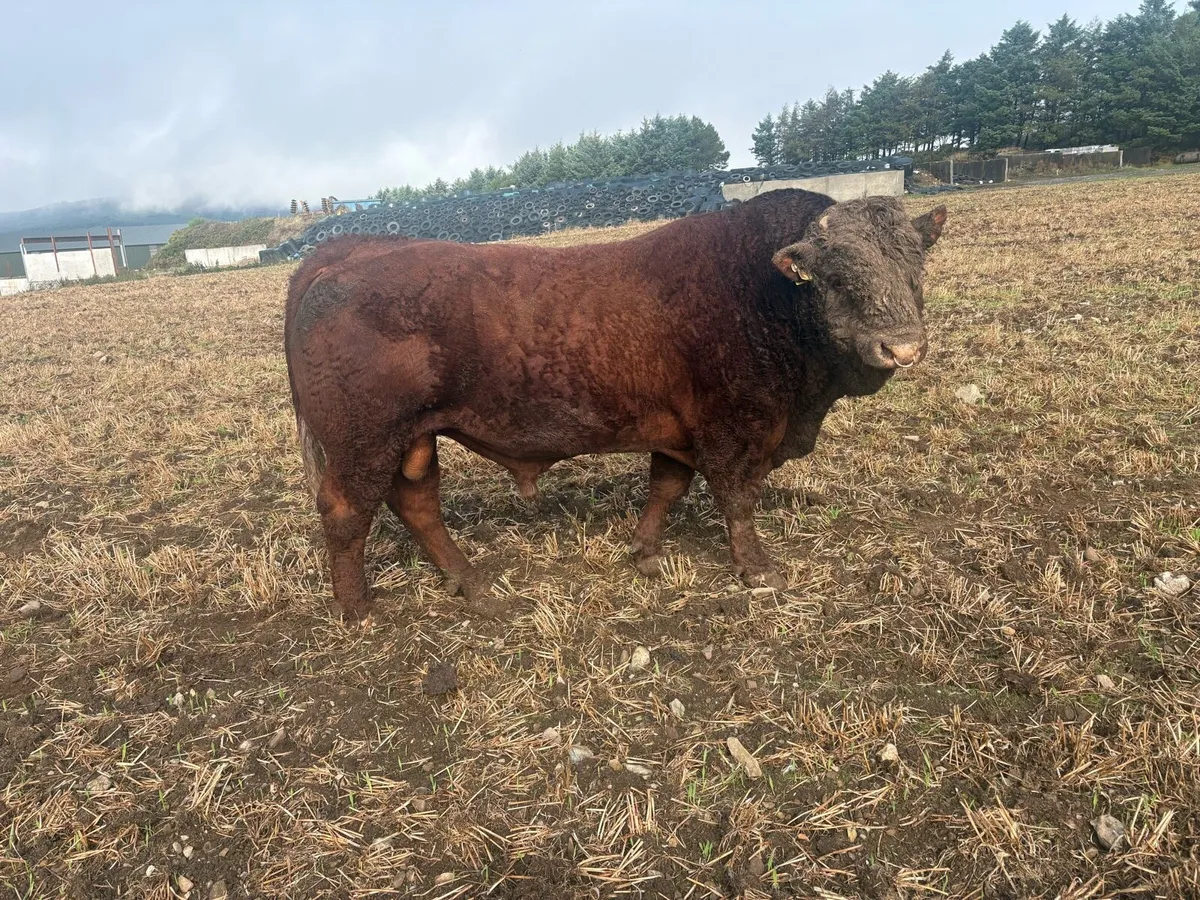 Farming - Image 1
