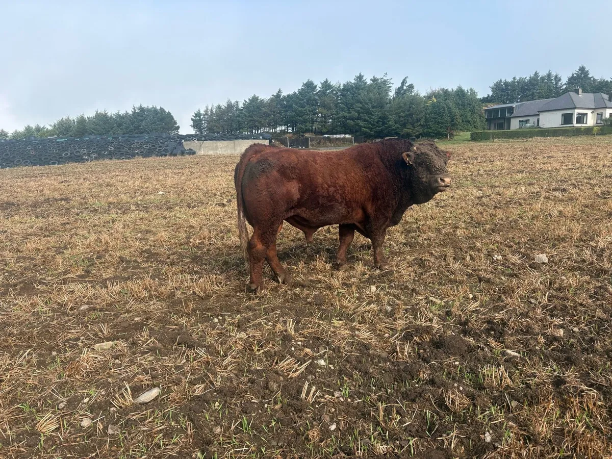 Farming - Image 2