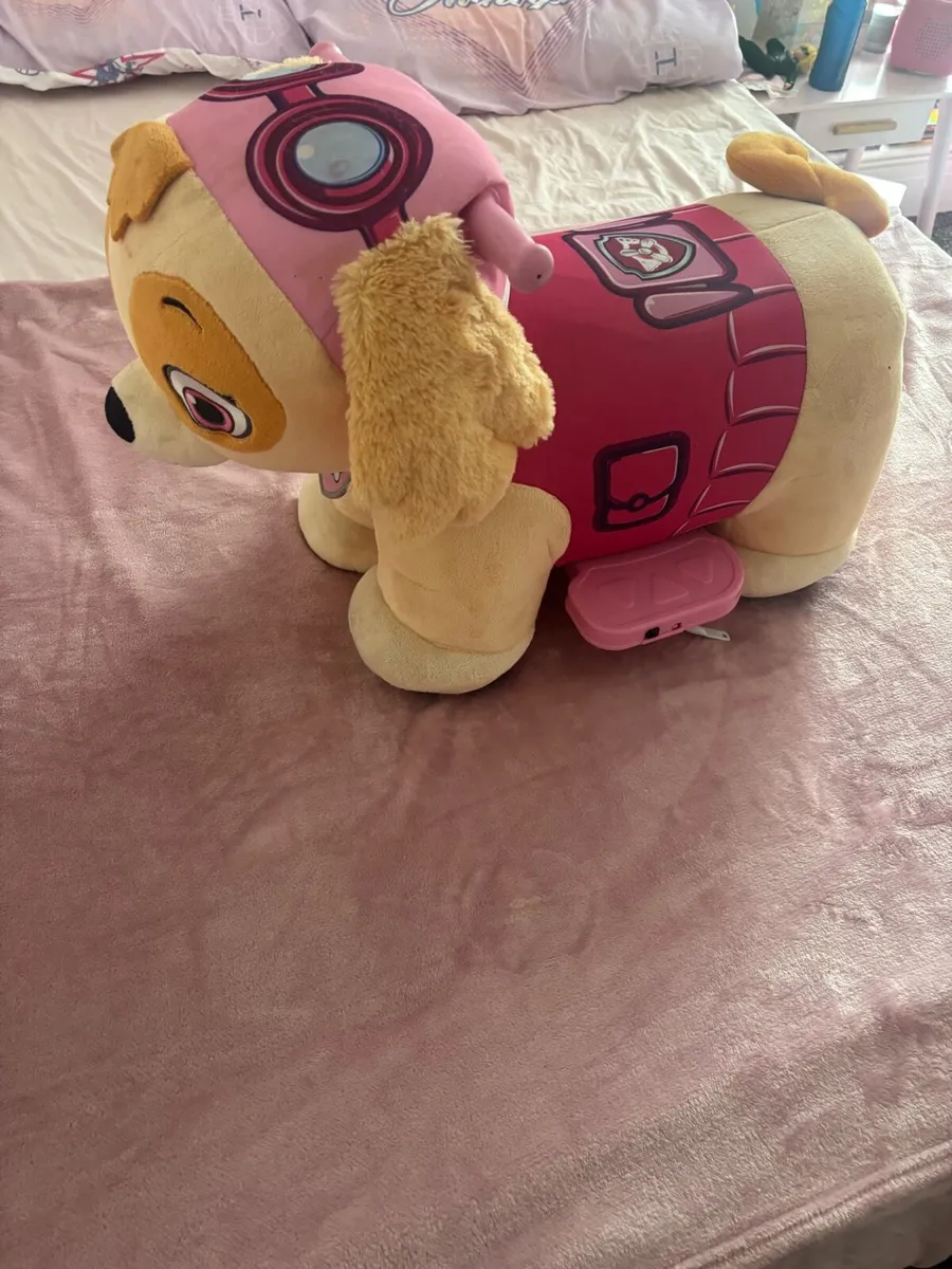 Paw Patrol Skye Ride On Toy - Image 1