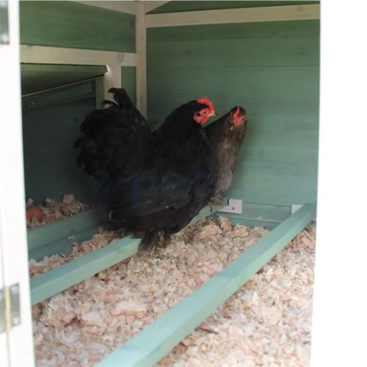Chicken Coop - Image 3