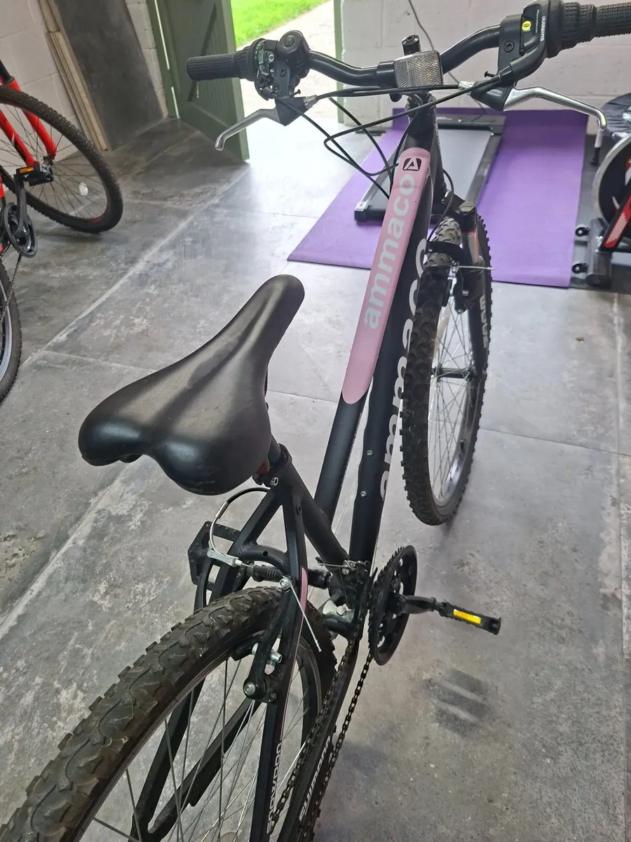 Ladies /Girls Mountain Bike - Image 2