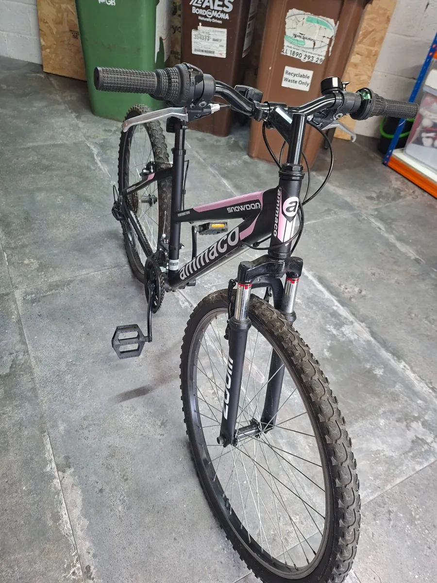 Ladies /Girls Mountain Bike - Image 1