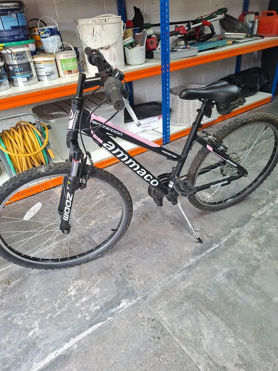 Ladies /Girls Mountain Bike - Image 3