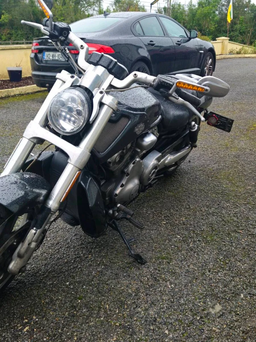 Harley-Davidson V Rod - Image 4