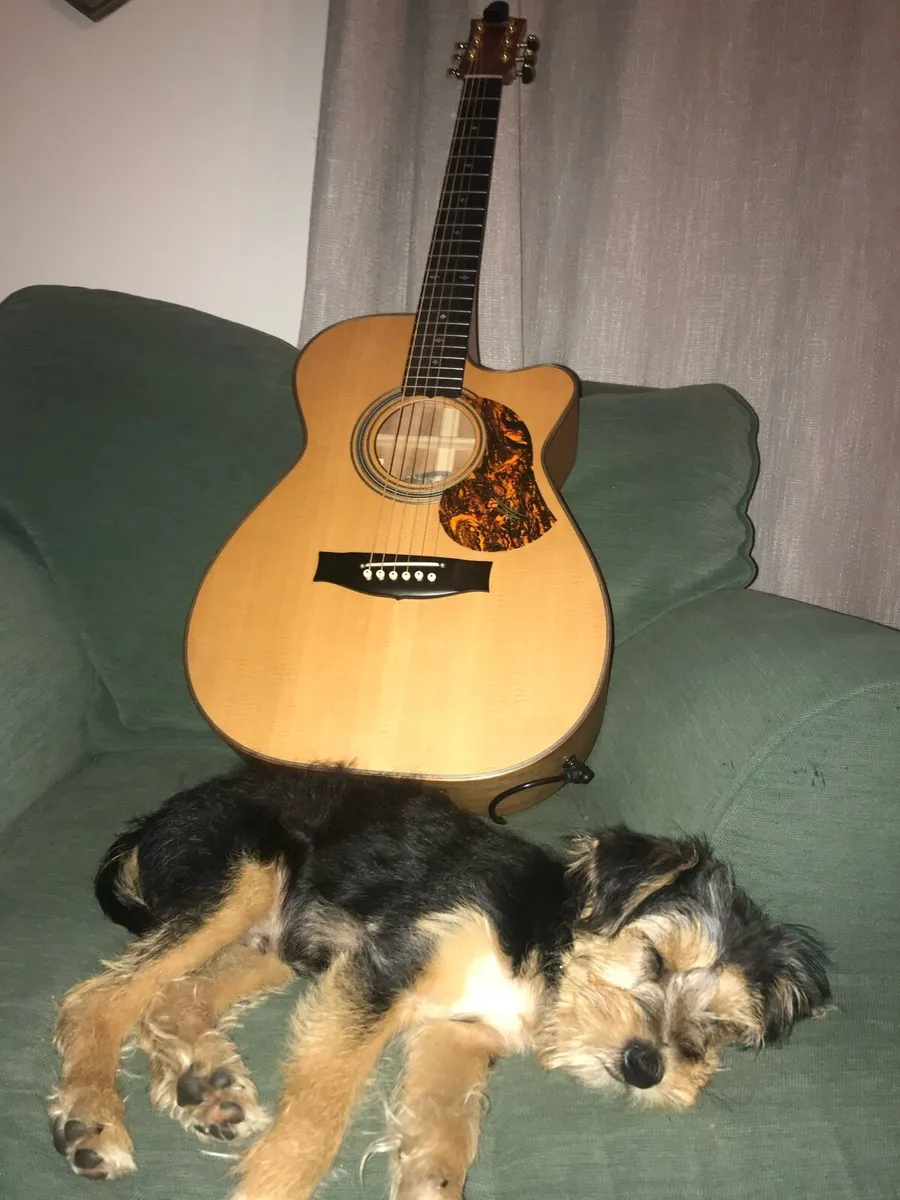 Maton EBG808C Michael Fix - Image 1