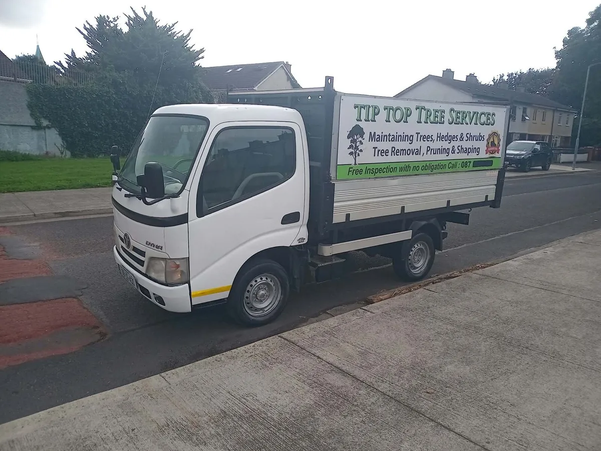 Toyota Dyna - Image 2