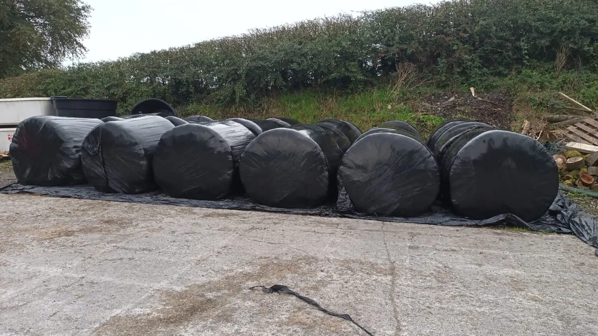 Silage bales - Image 1
