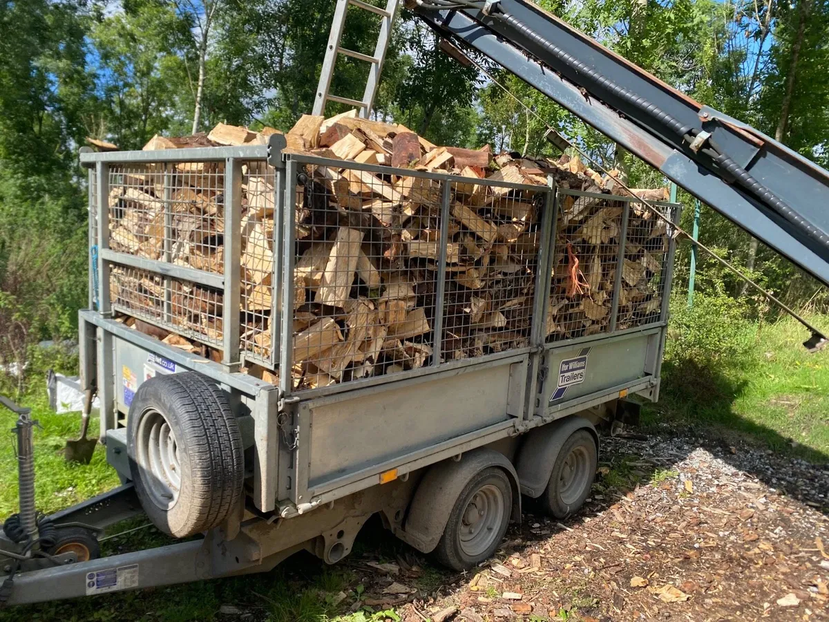 Firewood - Image 1