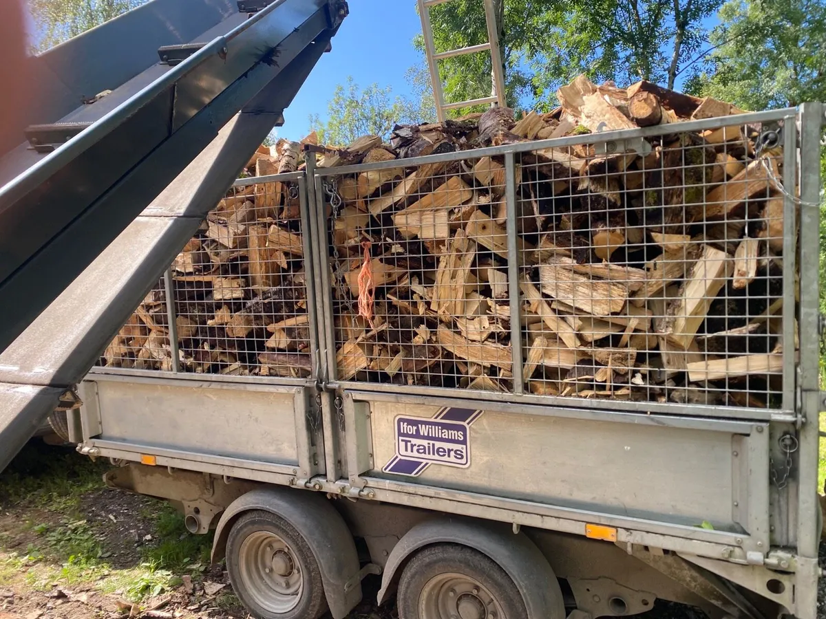 Firewood - Image 2