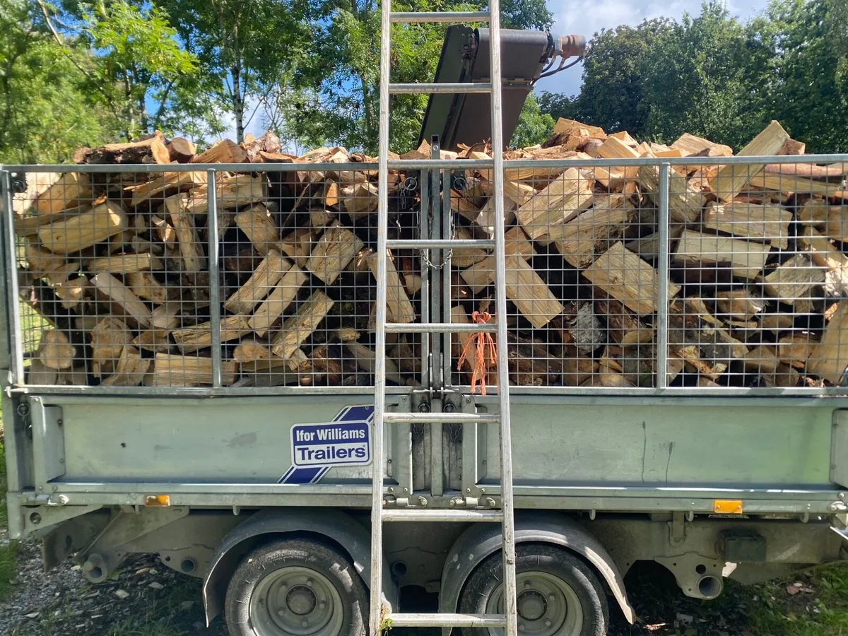 Firewood - Image 3