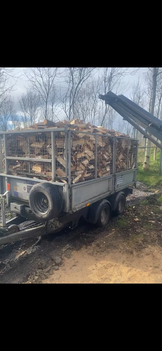 Firewood - Image 4