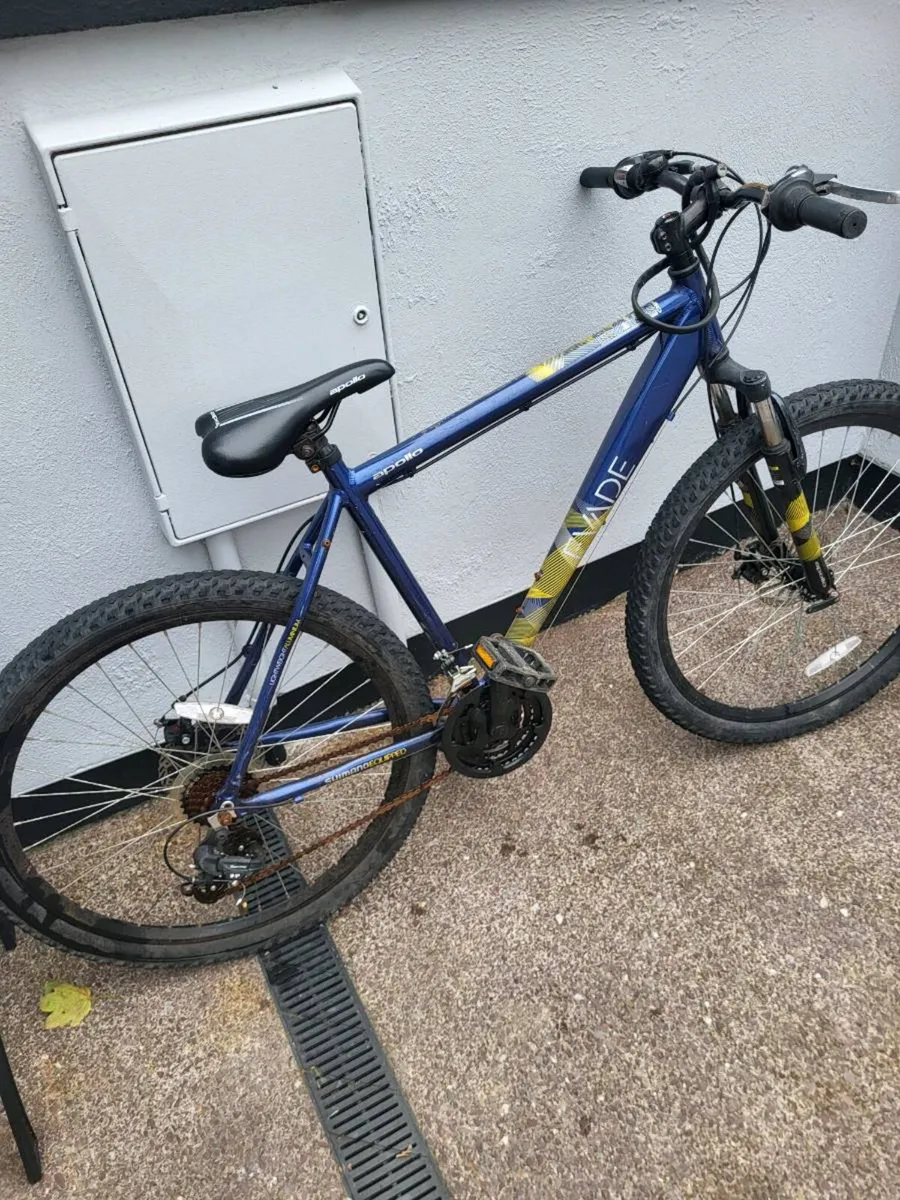 Mountain bike