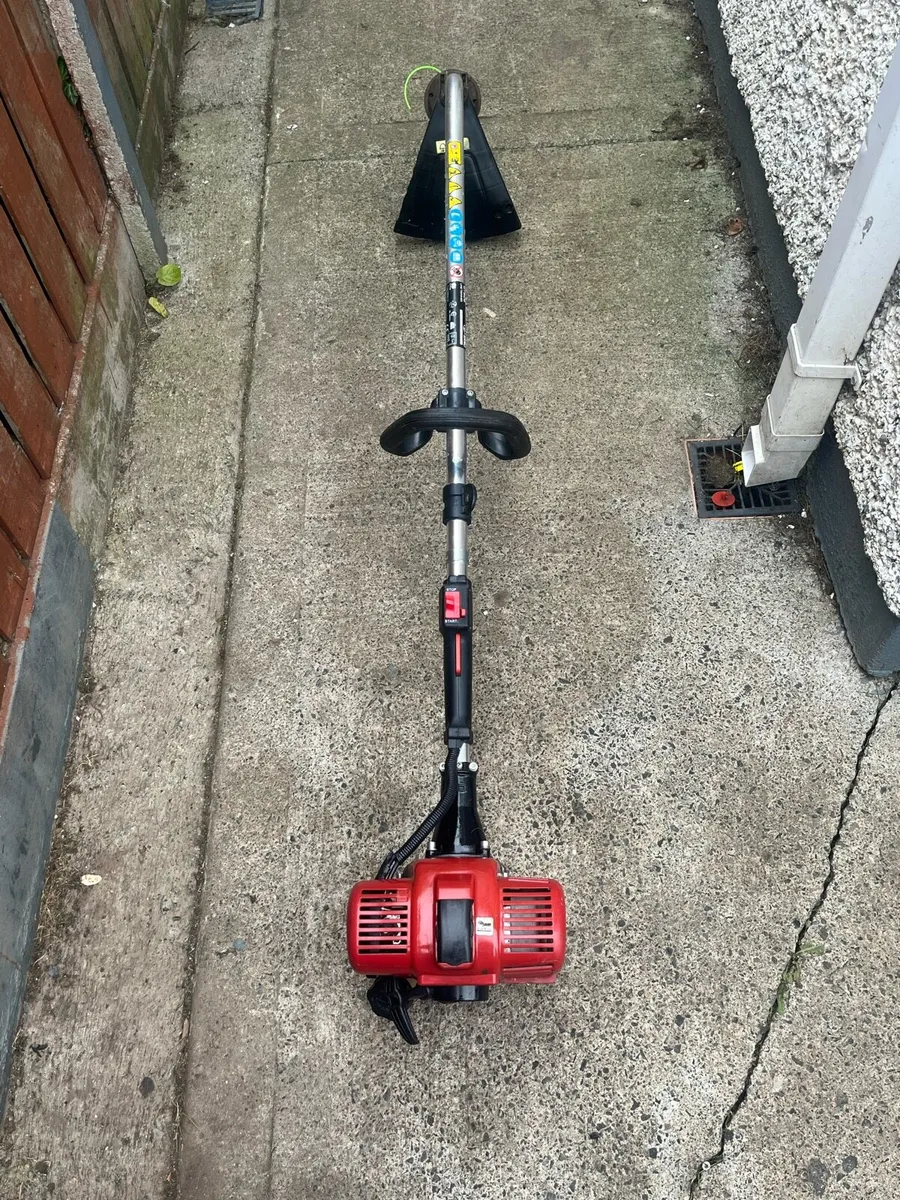 Strimmer - Image 1
