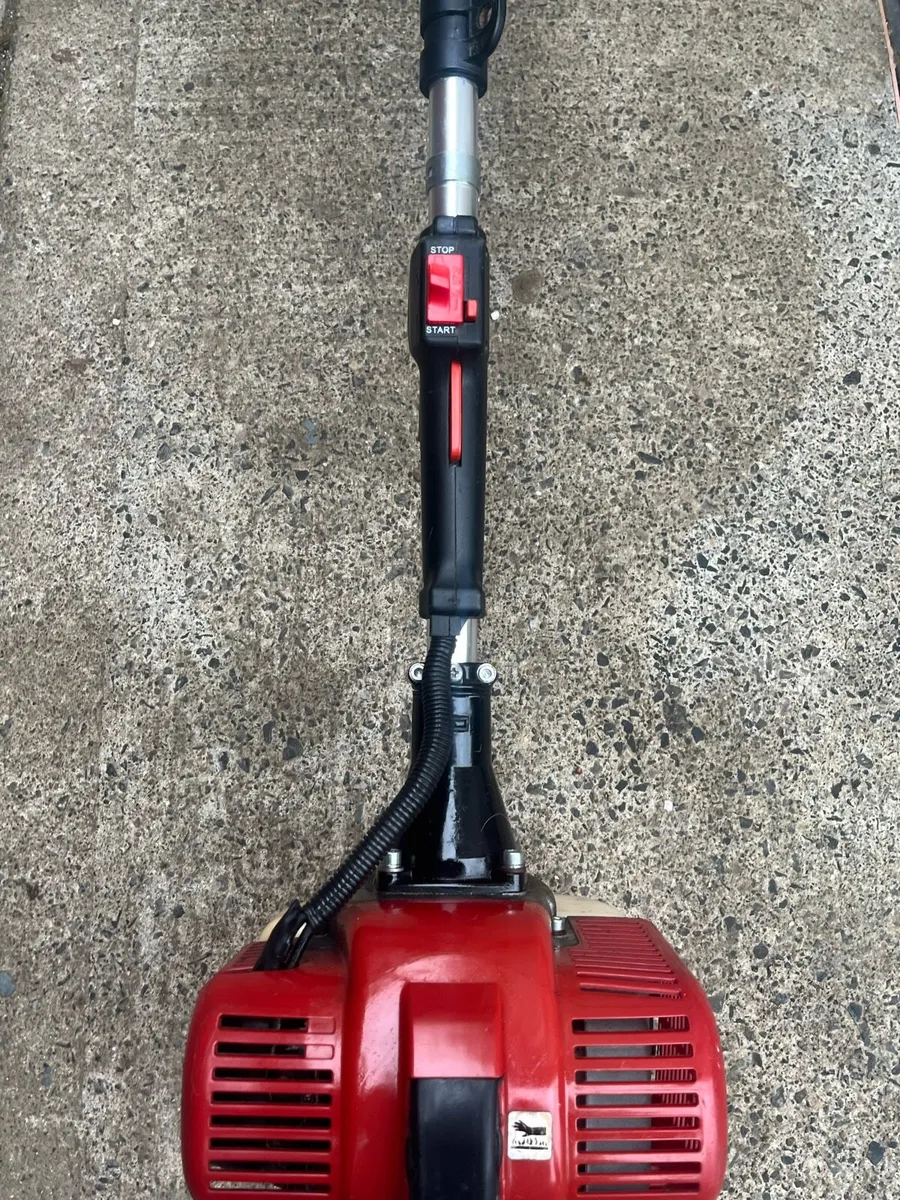 Strimmer - Image 3