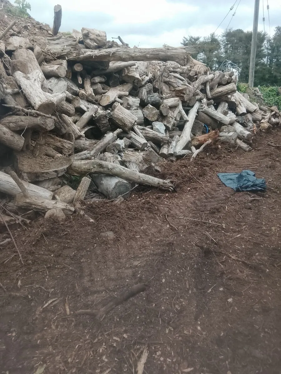 Free firewood to take away