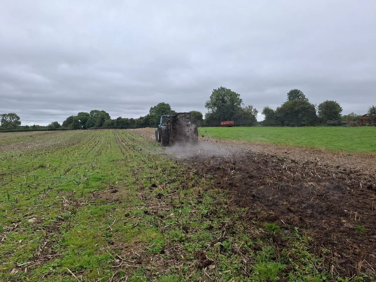 Richard Western Dung Spreader - Image 4