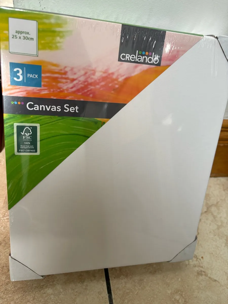 Painting set x 2 with canvas set - Image 3