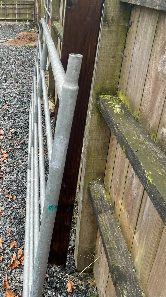 9’ Farm gate - Image 2