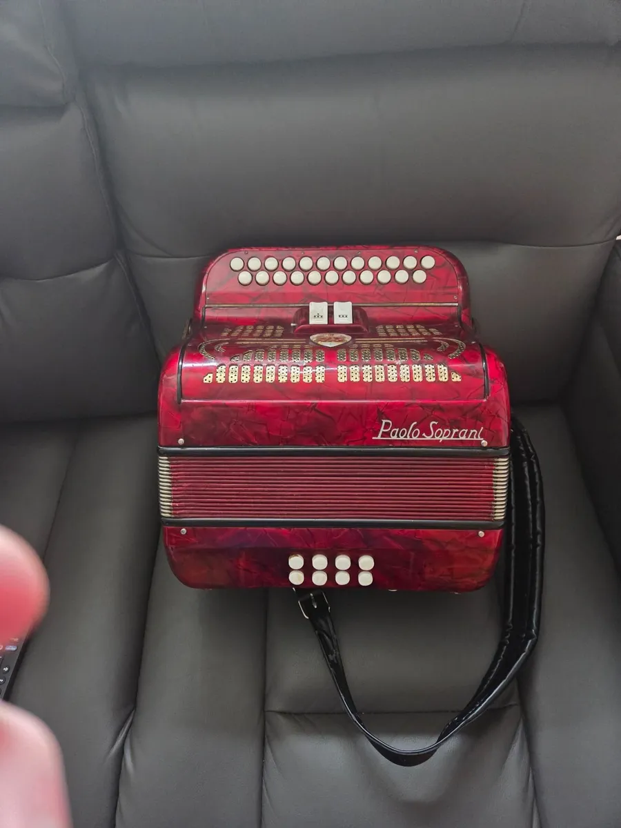 Accordion - Image 3