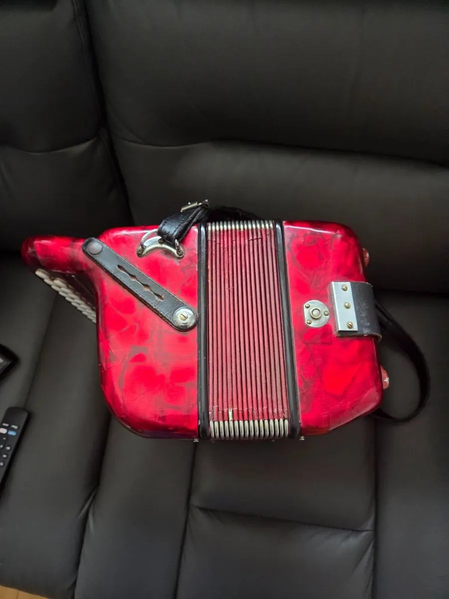Accordion - Image 4