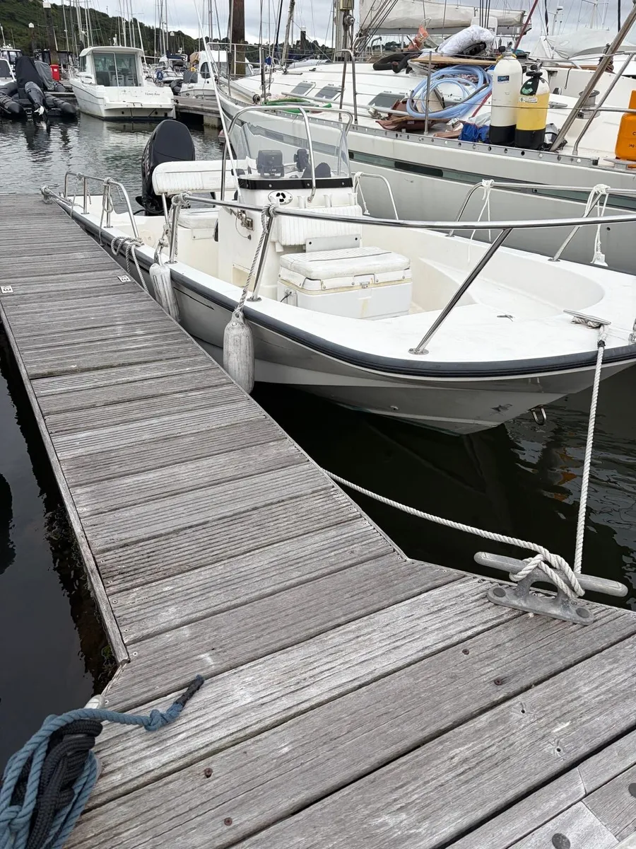Boston whaler montauk 170 - Image 3