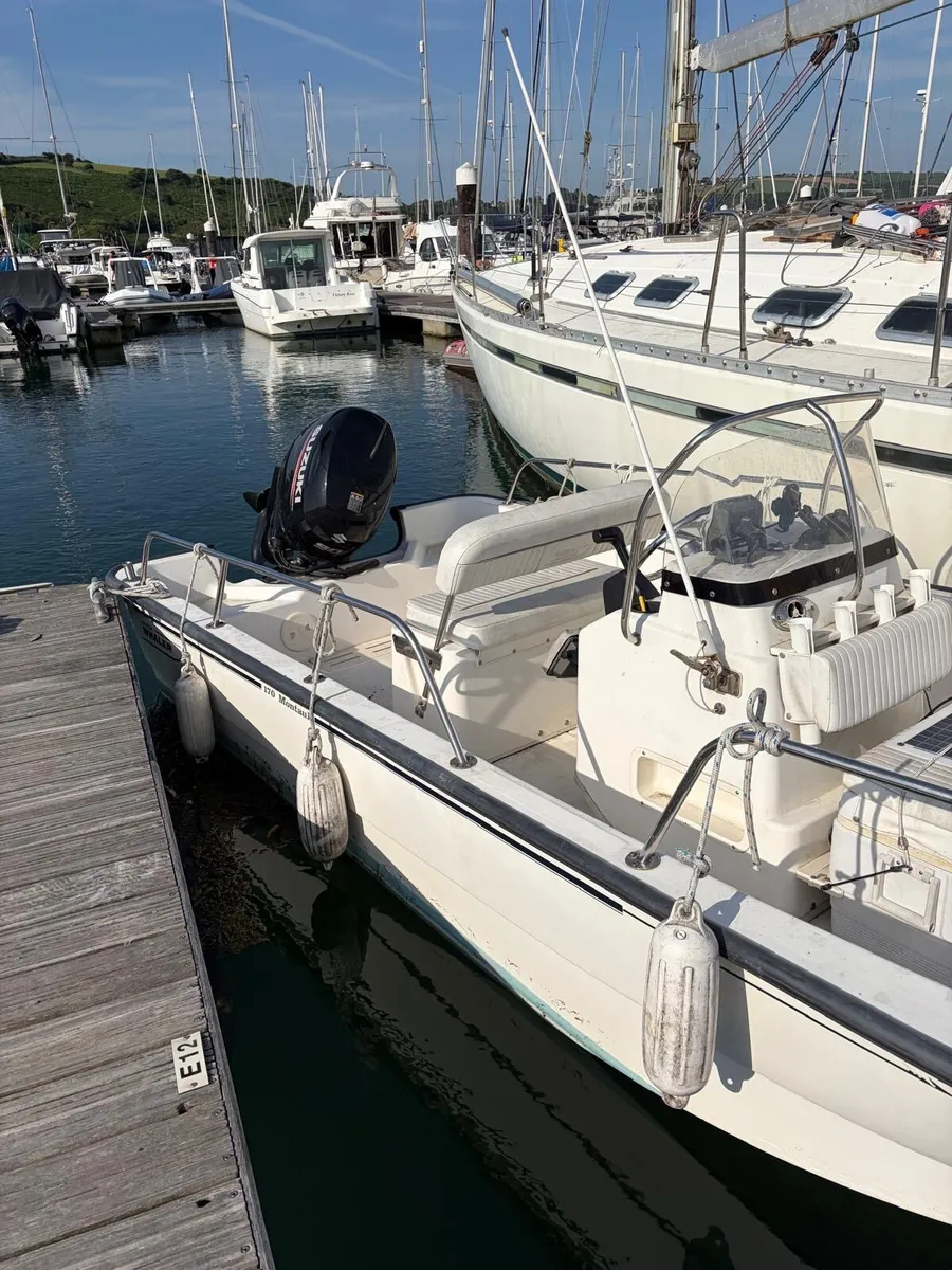 Boston whaler montauk 170 - Image 4