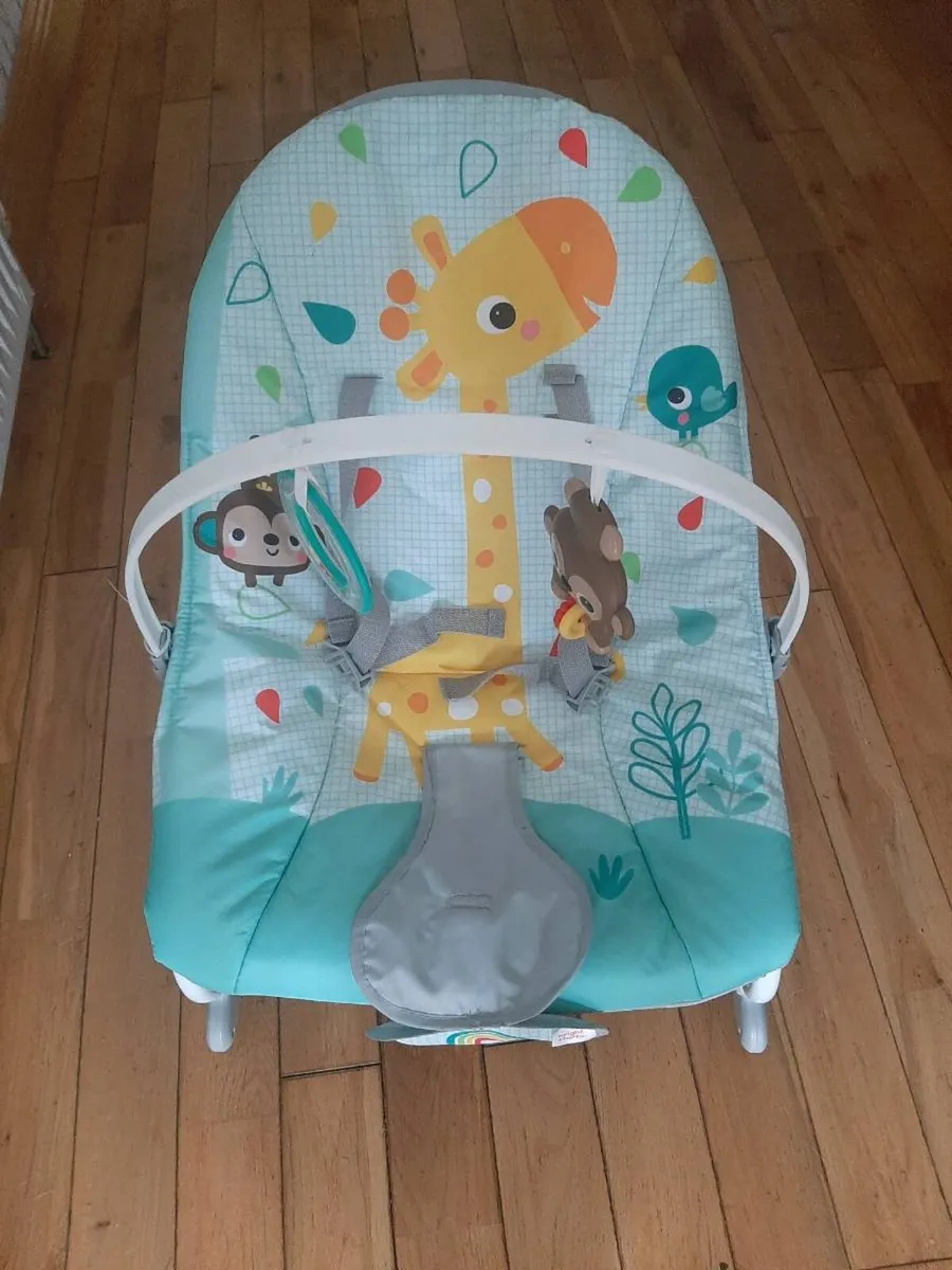 Baby bouncer