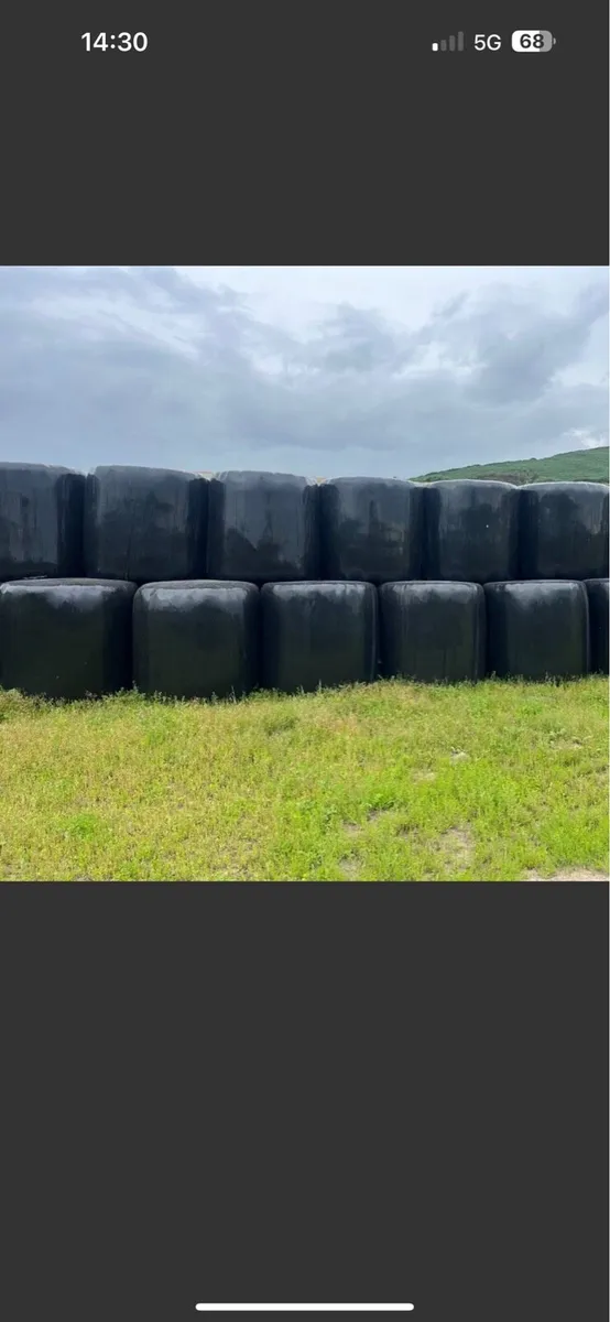 Round Bales - Image 1