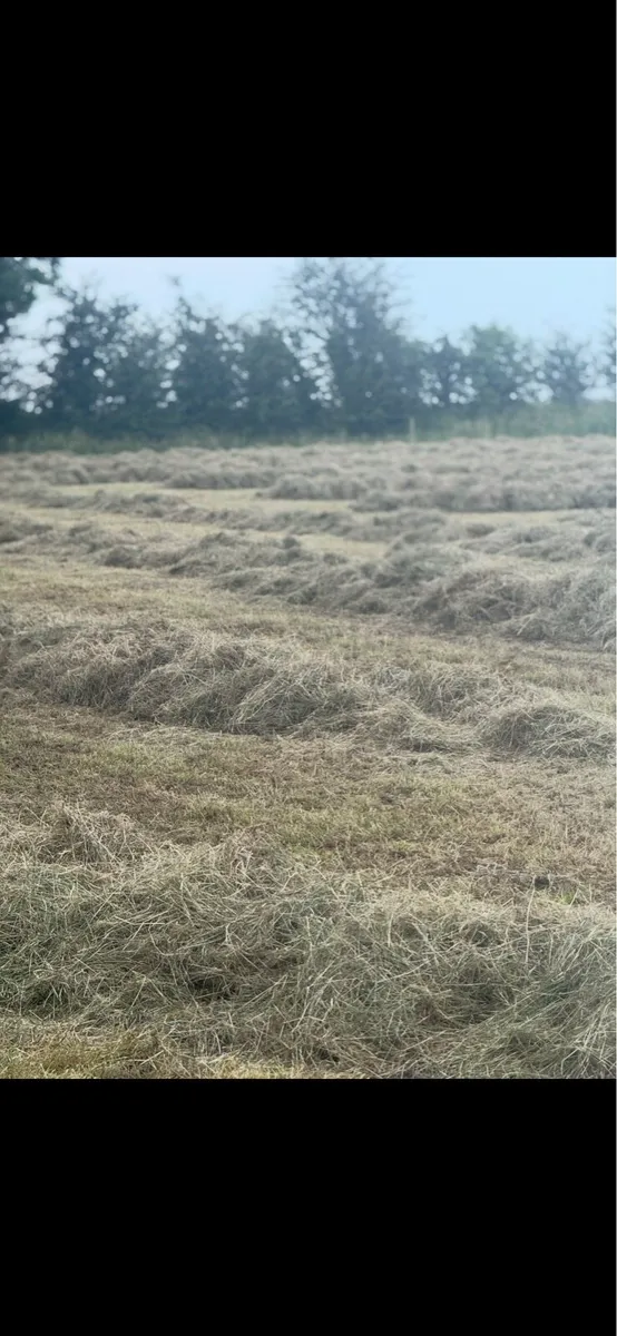 Round Bales - Image 3